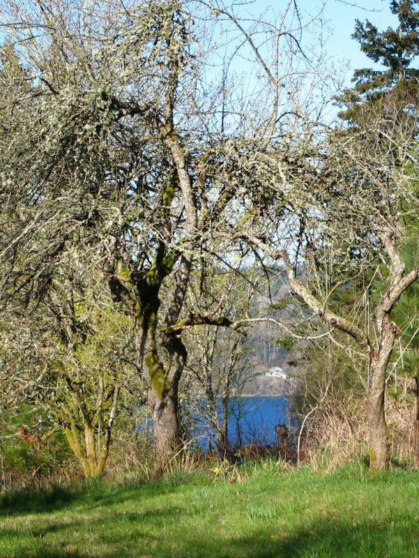 Property Photo:  18003 Westside Hwy SW  WA 98070 