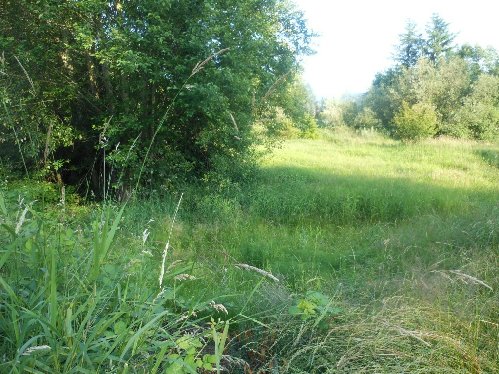 Property Photo:  737739 Sapp Rd  WA 98284 