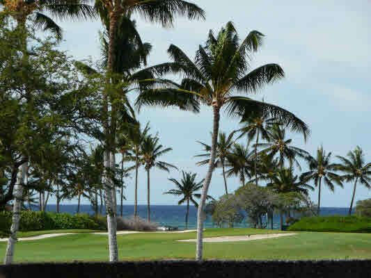 Property Photo: 68-1004 Pauoa Wy HI 96743