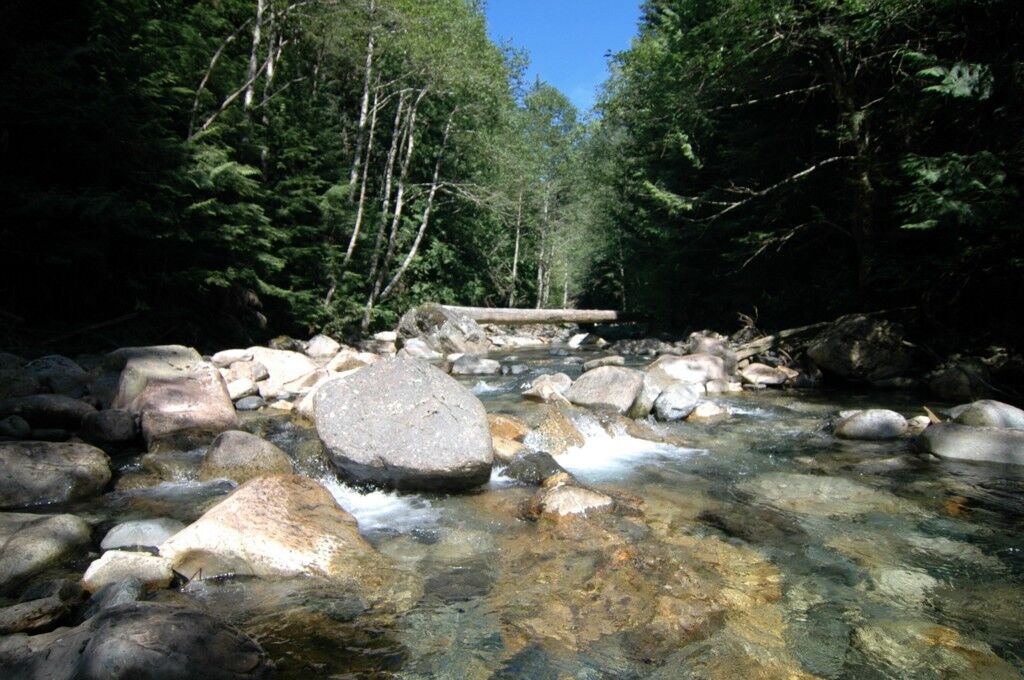 Property Photo:  0  Denny Creek Highway  WA 98045 