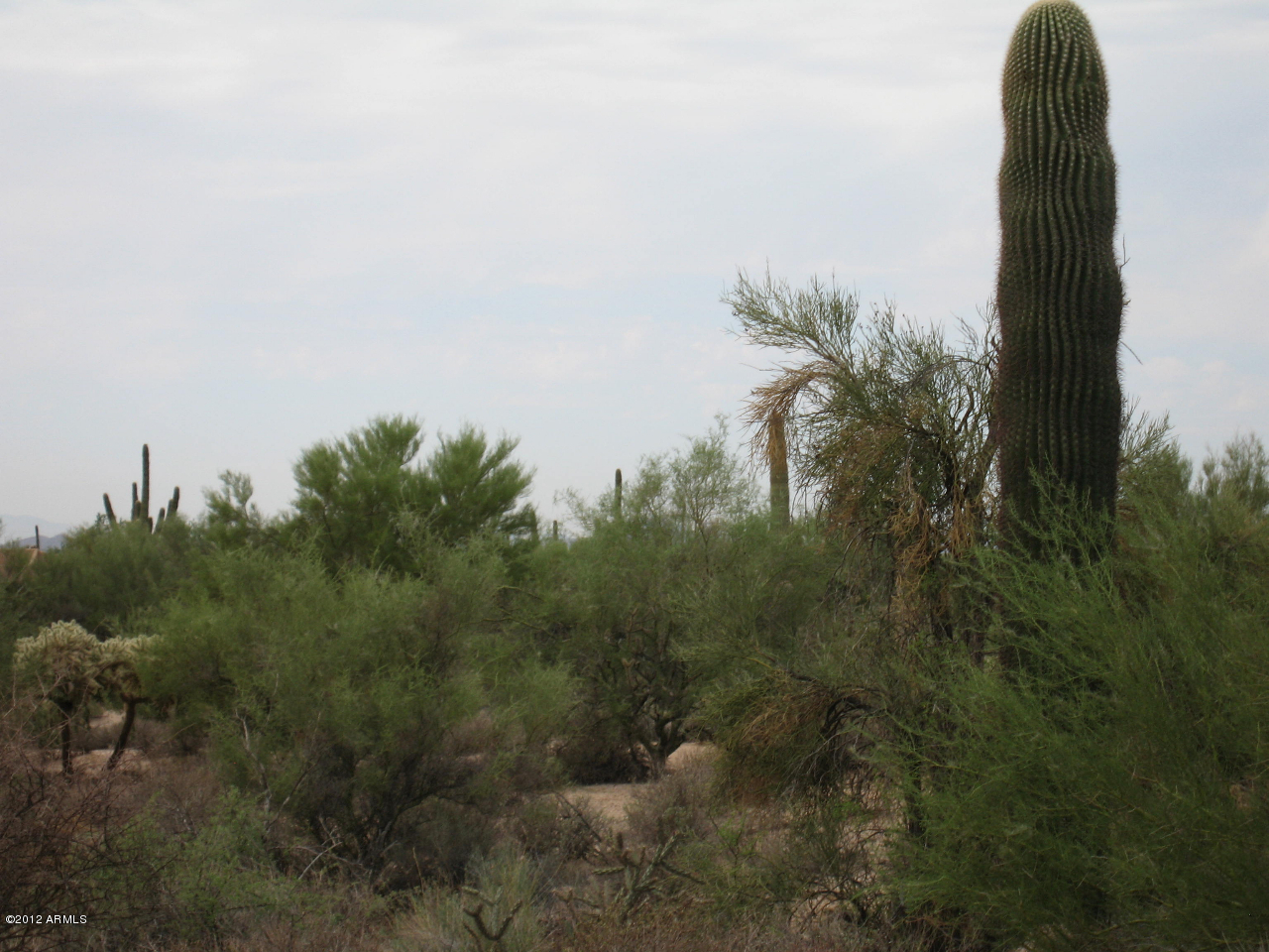 Property Photo:  27400 N 79th Street  AZ 85262 