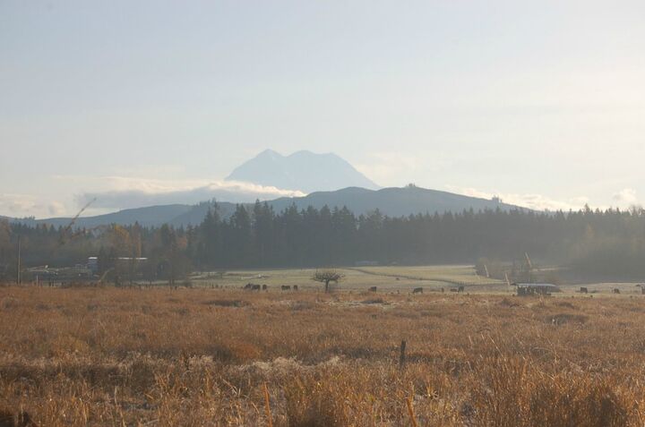 Property Photo:  8808 Guske Rd E  WA 98375 