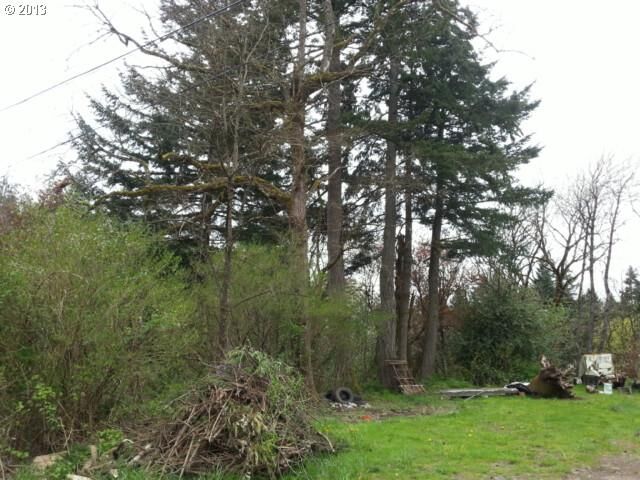Property Photo:  815 Sadie B Ave  OR 97014 