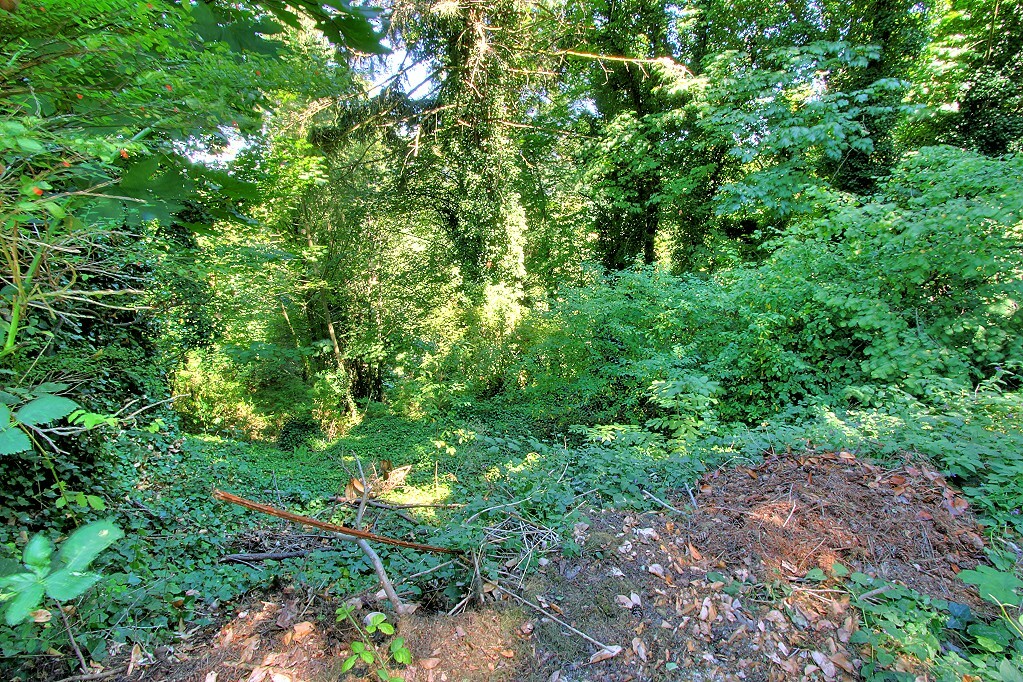Property Photo: 15712 76th Place NE WA 98028