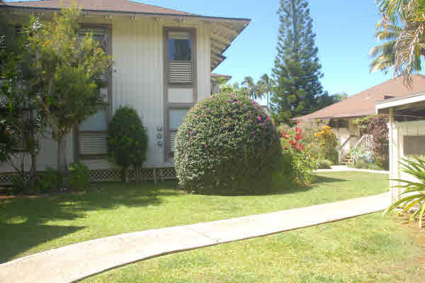Property Photo:  4480 Ka Haku Rd 203  HI 96722 