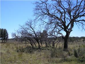 Property Photo: 215 Lost Falls Cove TX 78676