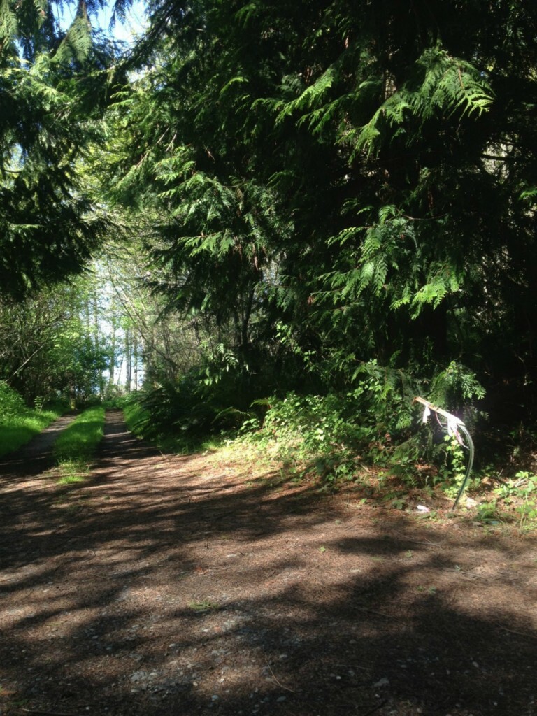 Property Photo:  0 Haada Laas Rd  WA 98368 