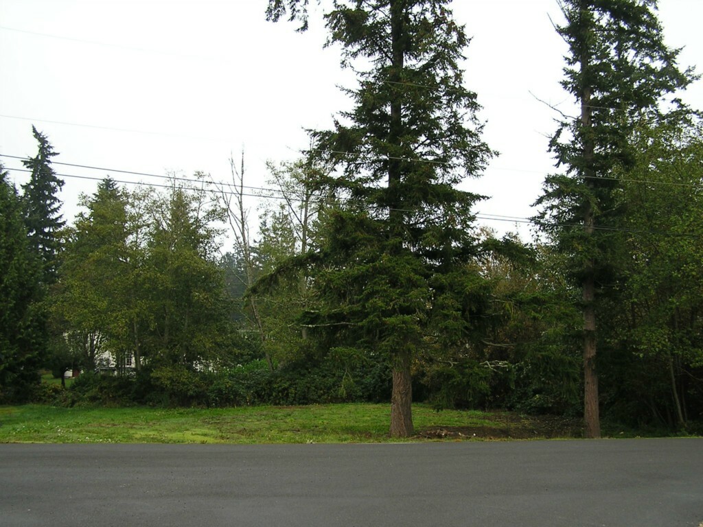 Property Photo: 0xxx Dundee Dr WA 98282