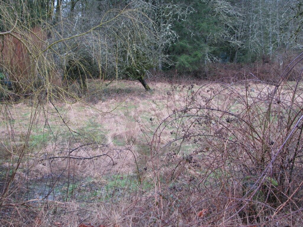 Property Photo: 269 Xx Landburg Road SE WA 98051
