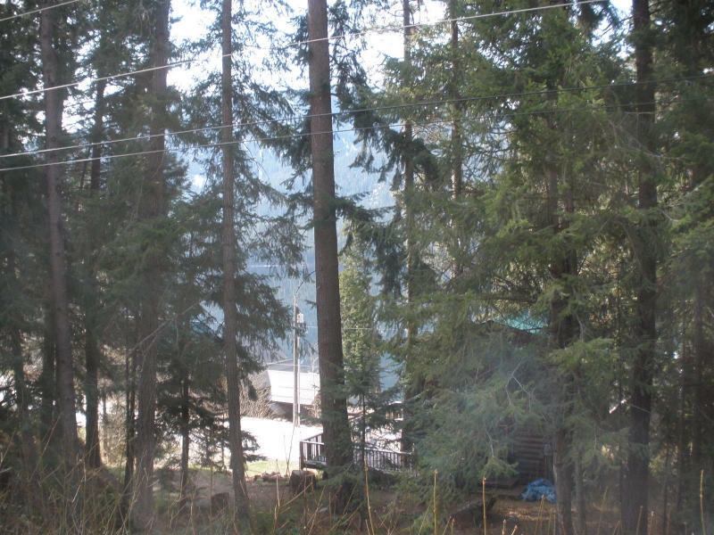 Property Photo:  23160 Lake Wenatchee Hwy  WA 98826 