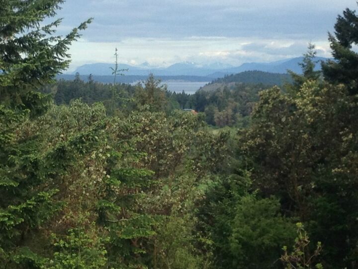 0 Trevethan Hollow  San Juan Island WA 98250 photo