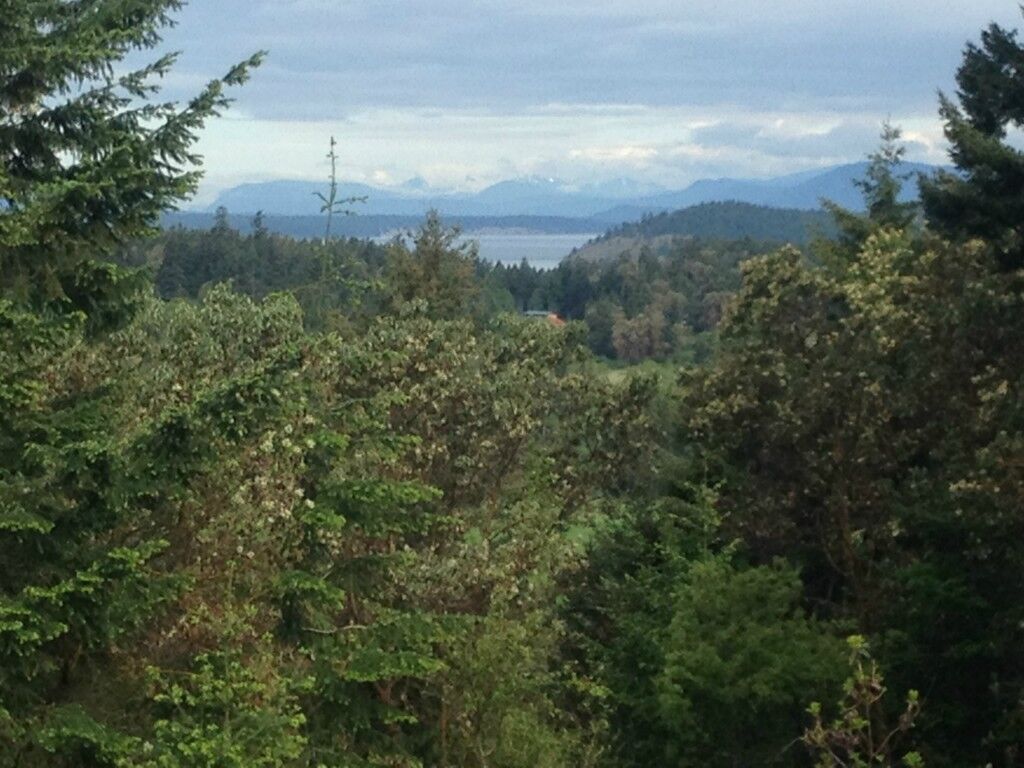 Property Photo: 0 Trevethan Hollow WA 98250