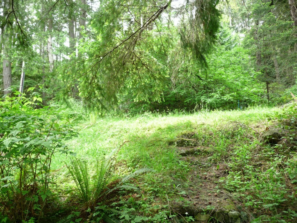 Property Photo:  2855 Aiston Creek Rd  WA 98262 