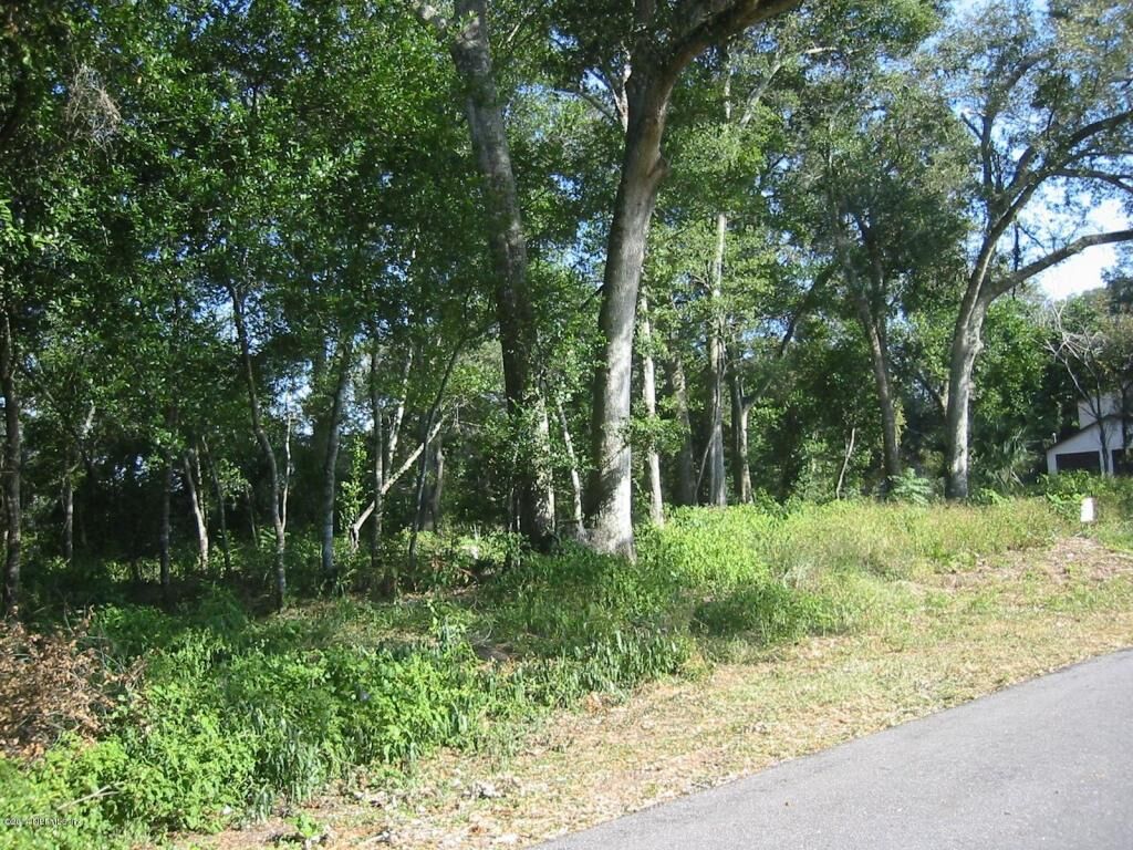 Property Photo:  0 Linden Road  FL 32086 