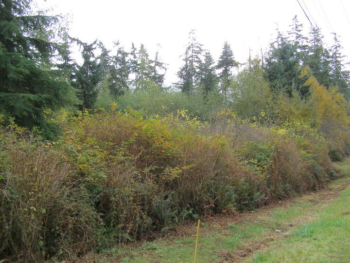Property Photo: 0 000 Reservation Rd WA 98277