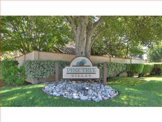 Property Photo: 16977 Sugar Pine Drive CA 95037