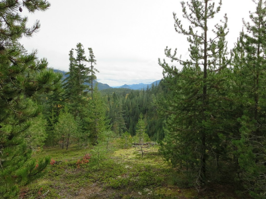 Property Photo:  603 Dandy Pass Road  WA 98925 