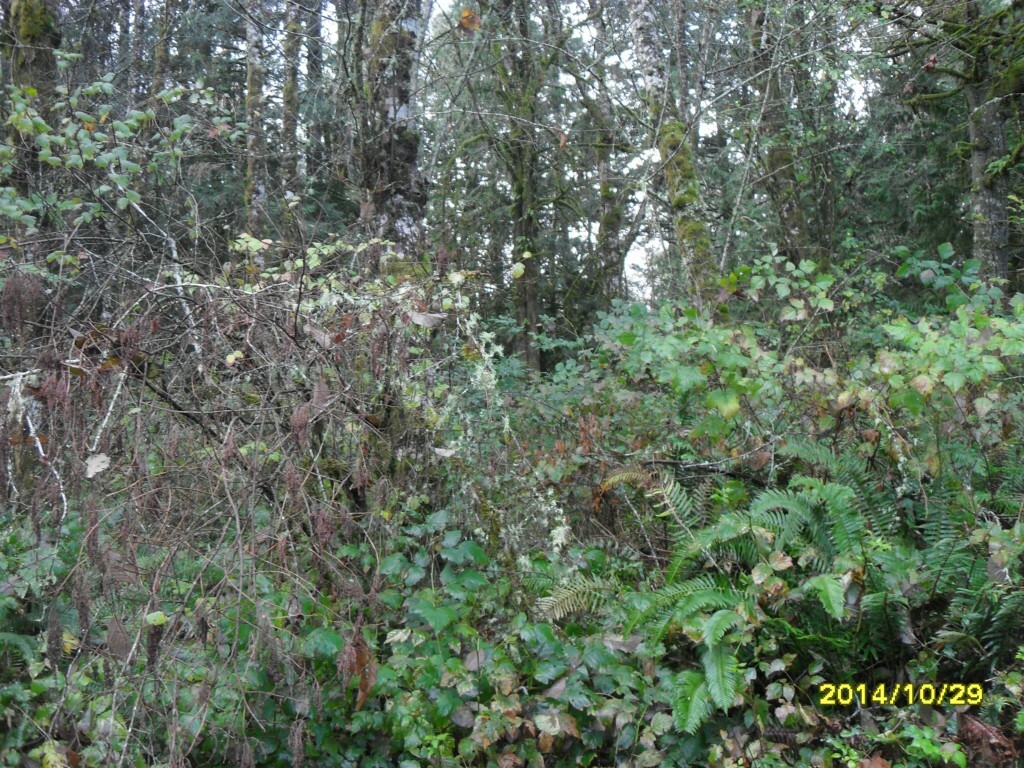 Property Photo:  12784 Eastbrook Dr SW  WA 98465 