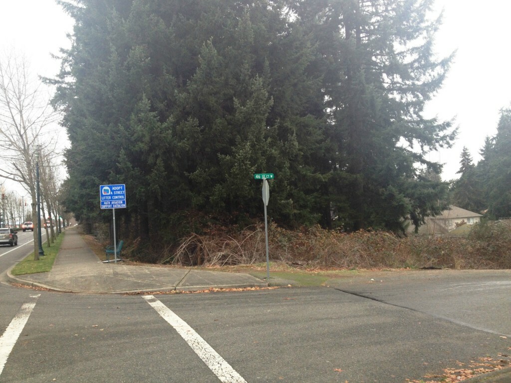 Property Photo:  0 Xxx 46th St Ct W  WA 98466 