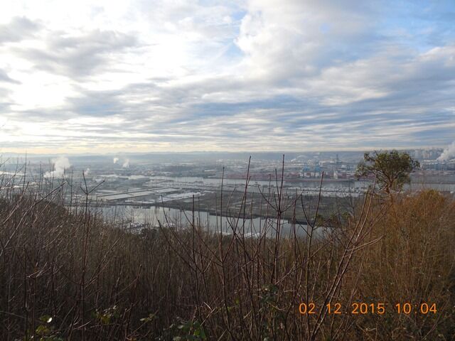 Property Photo: 1422 Browns Point Blvd WA 98422