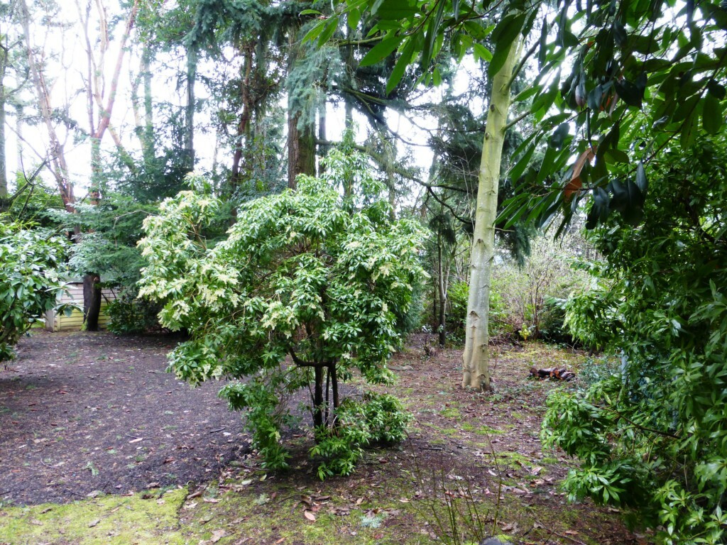 Property Photo:  2300 126th Ave NE  WA 98005 