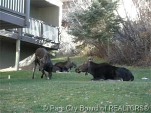 Property Photo:  668 Rossie Hill Drive 4  UT 84060 