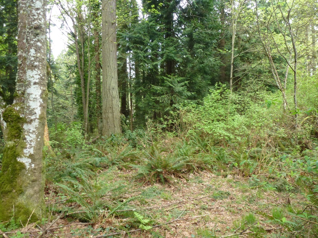 Property Photo:  0 Sunrise Dr NE  WA 98110 