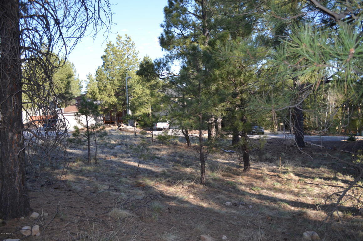 Property Photo:  3490 S Big Sky Trail  AZ 86001 