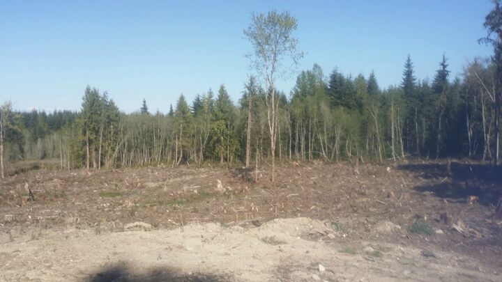 0 Amarillo Rd  Port Angeles WA 98362 photo