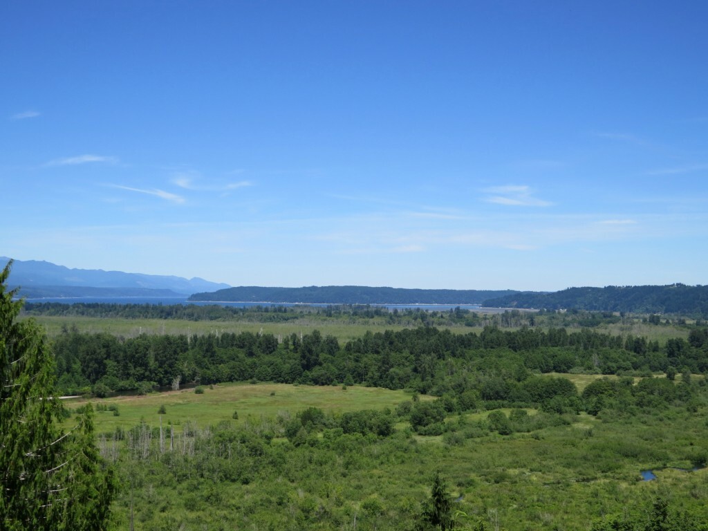 Property Photo: 1251 E Eagle Point Dr WA 98584