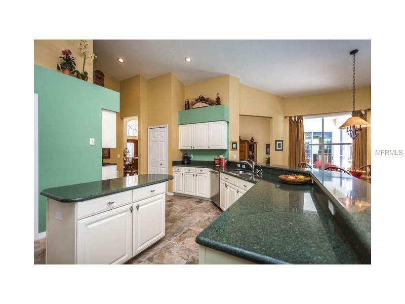 Property Photo:  4766 Stonebriar Drive  FL 34677 