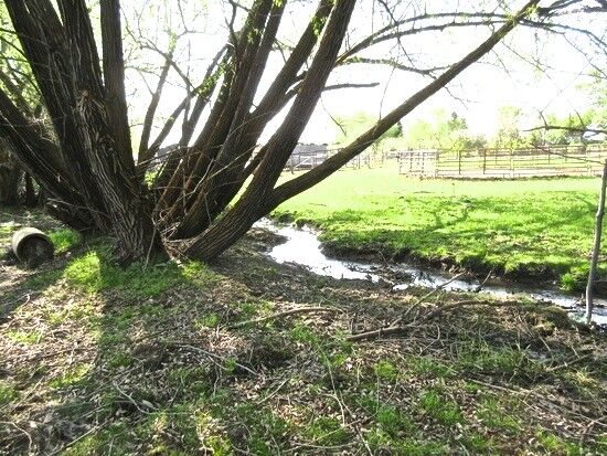 Property Photo:  2233 Thorp Cemetery Rd  WA 98946 