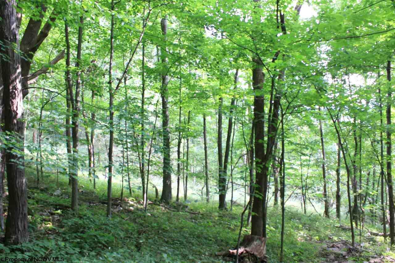 Property Photo:  Lot 7 High Mountain Road High Mountain  WV 26270 