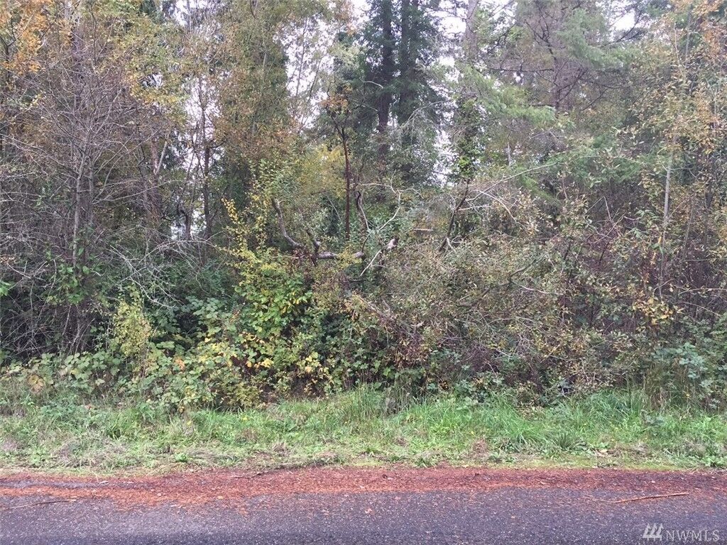 Property Photo:  1207 Kamus Dr  WA 98333 