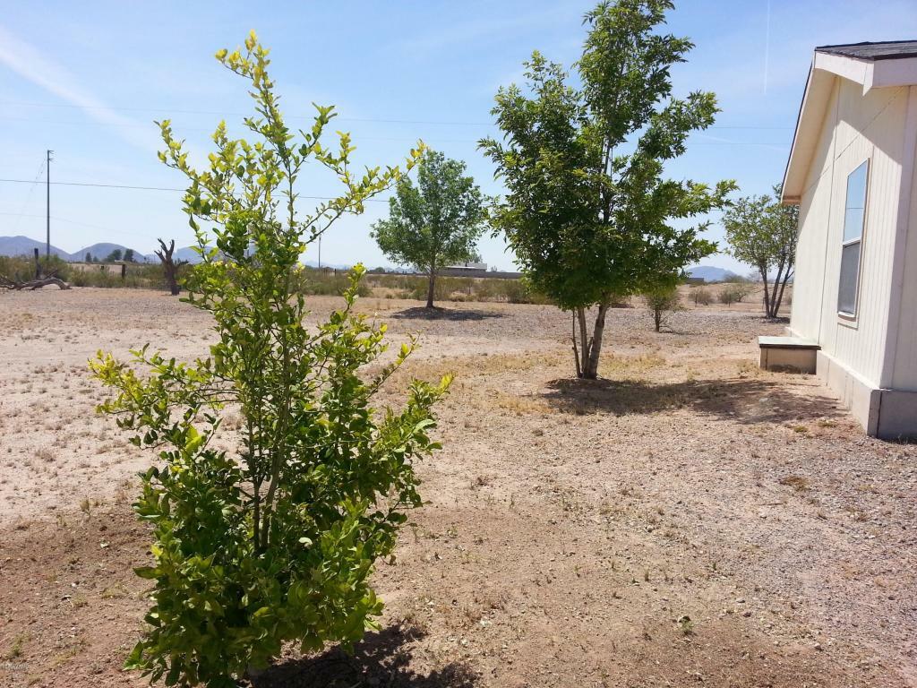 Property Photo:  3727 N 367th Avenue  AZ 85354 