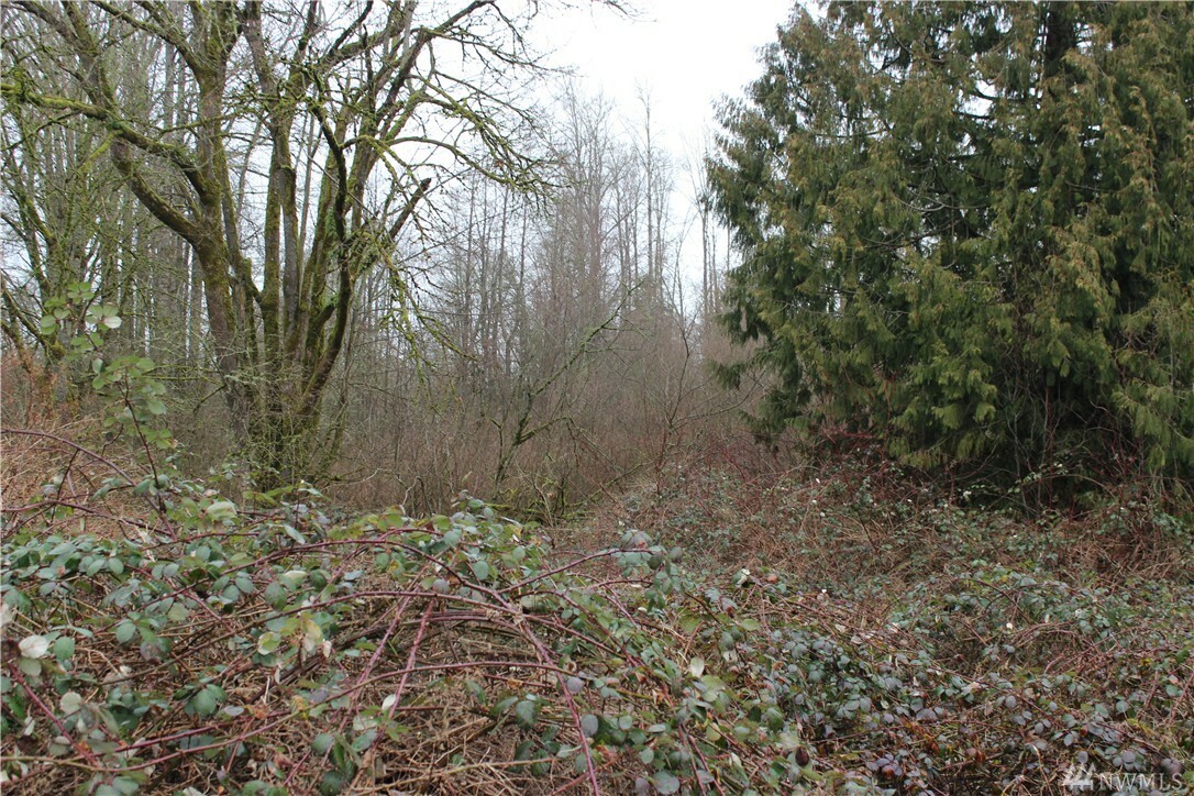 Property Photo:  0 Broadway Ave  WA 98296 