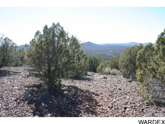 Property Photo:  Lot 249 Quail Call Road  AZ 86401 