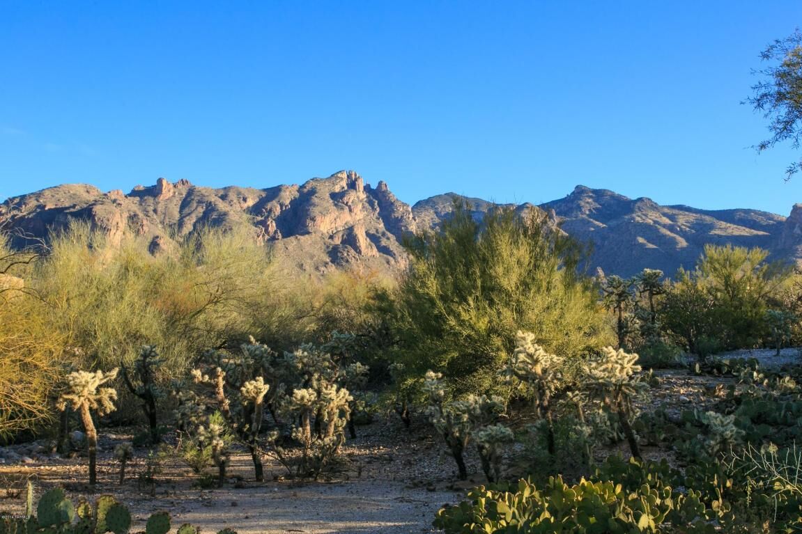 Property Photo:  6469 N Foothills Drive  AZ 85718 