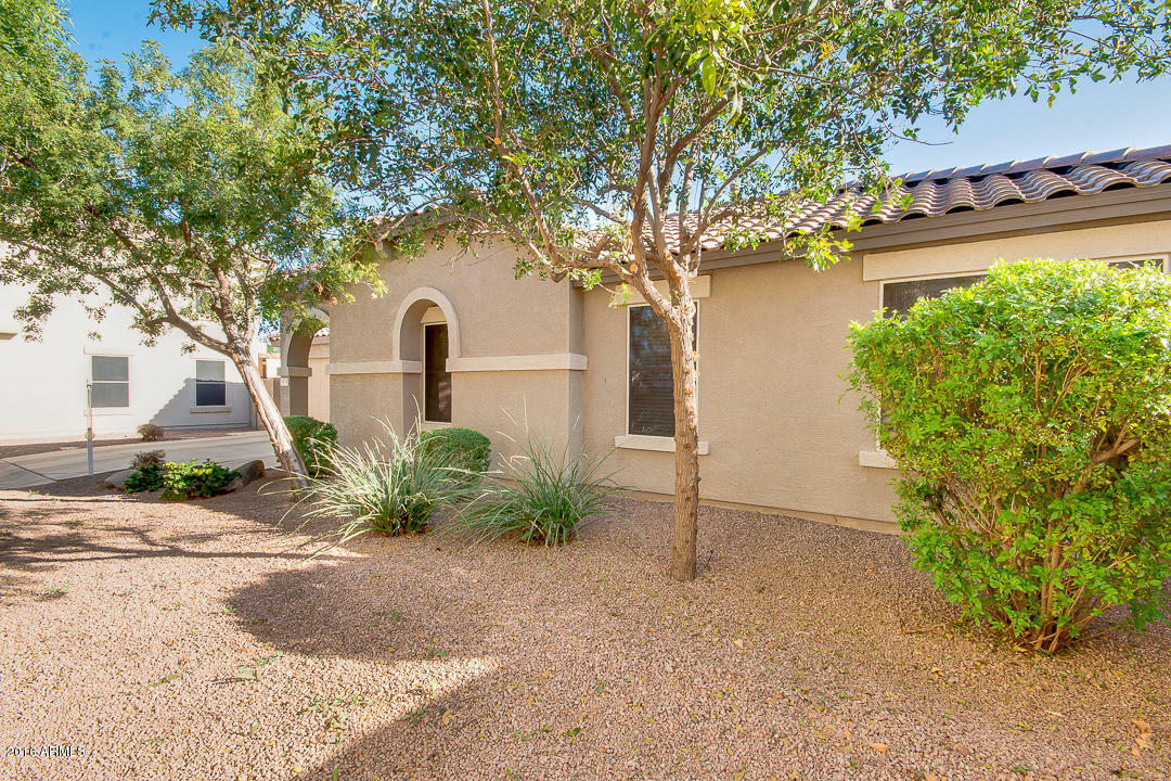 Property Photo:  2474 S Nielson Street  AZ 85295 