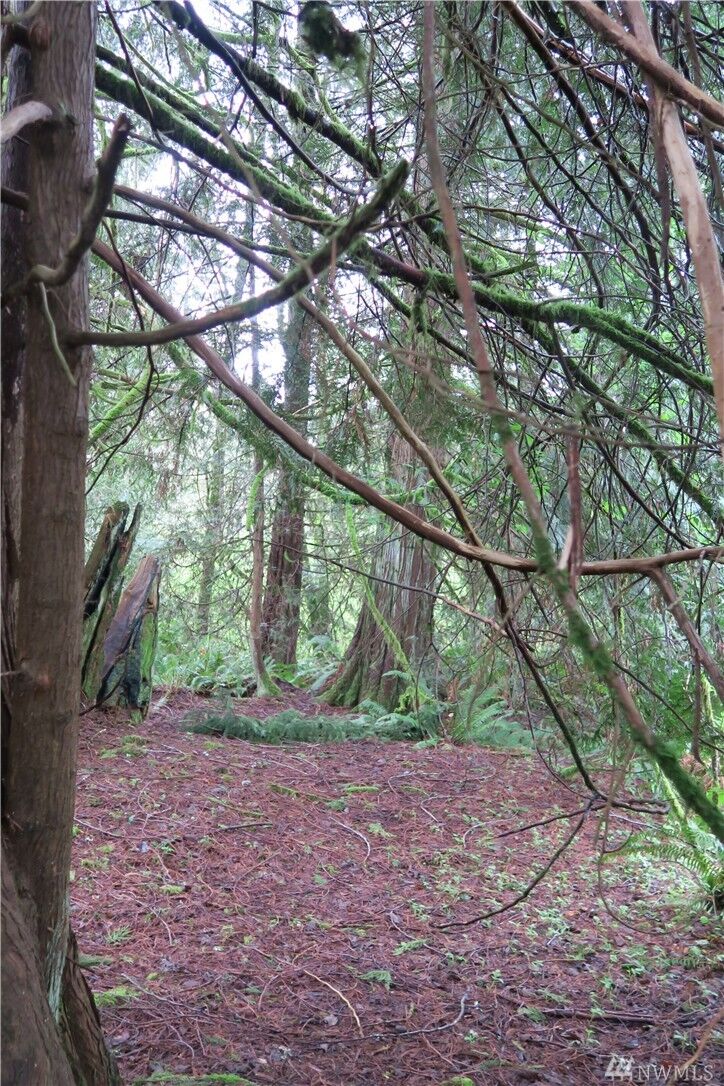 Property Photo: 401 Newberg Rd WA 98290