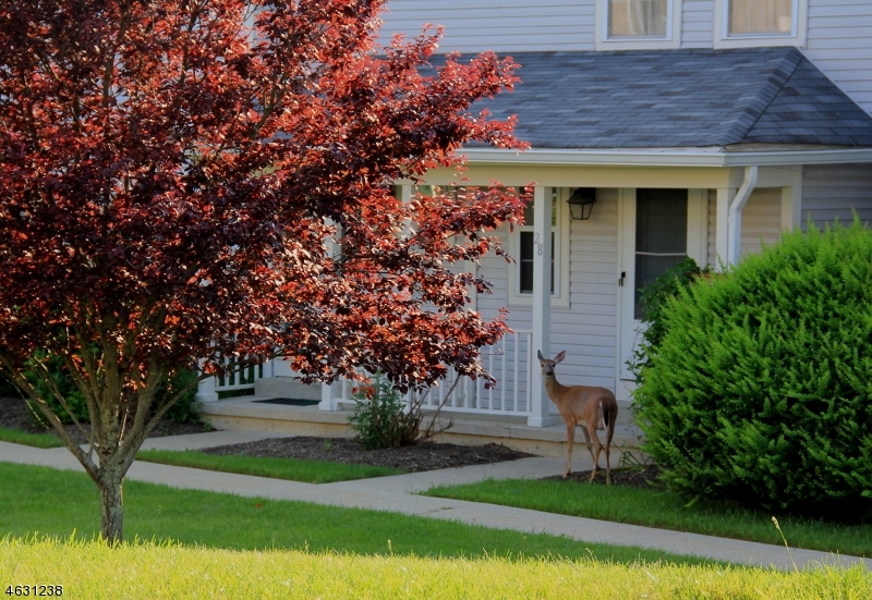 Property Photo:  28 Green Heron Dr  NJ 07840 