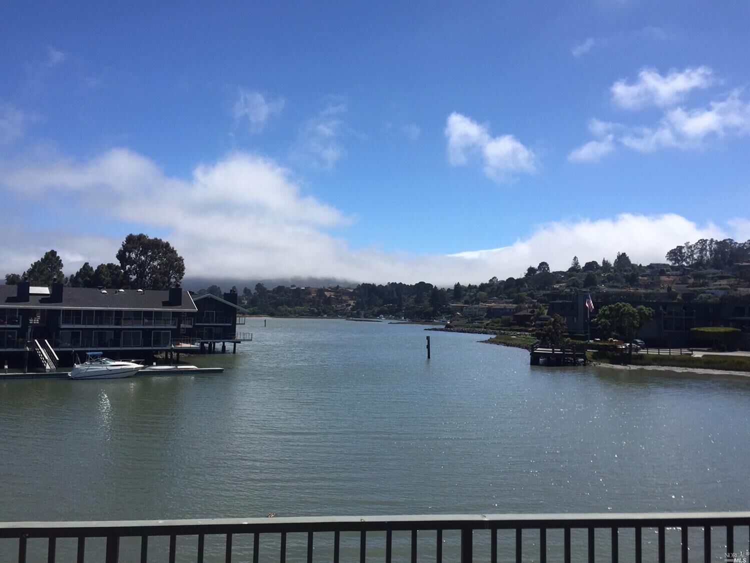 Property Photo:  4 Greenwood Cove Drive  CA 94920 