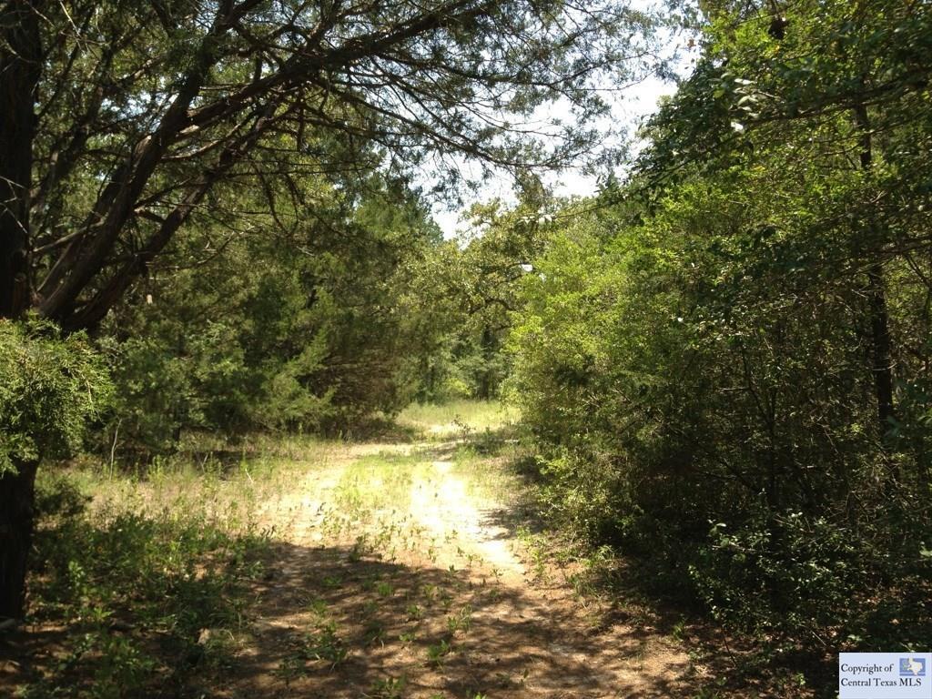 Property Photo:  735 Sandy Ranch  TX 78632 