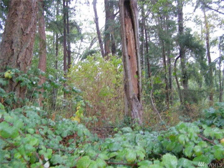 Property Photo: 9 Mitford Lane Lot 9 WA 98236