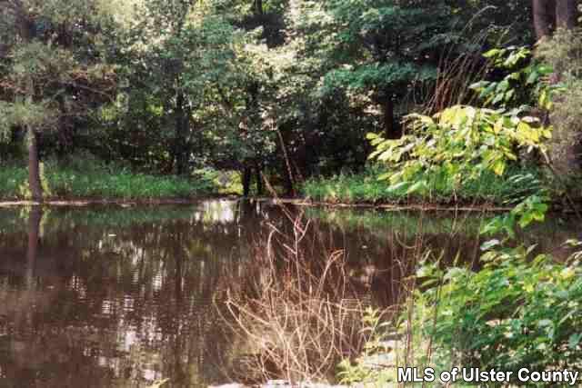 Property Photo: 156 Upper Whitfield NY 12404