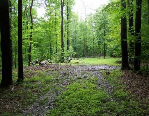 Property Photo:  0 Carbury Road  PA 16412 