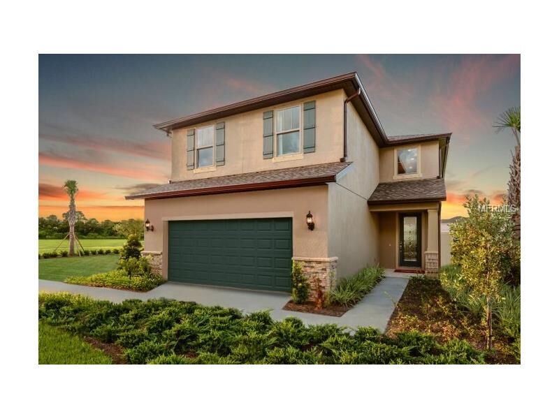 Property Photo:  6418 Yellow Buckeye Drive  FL 33578 