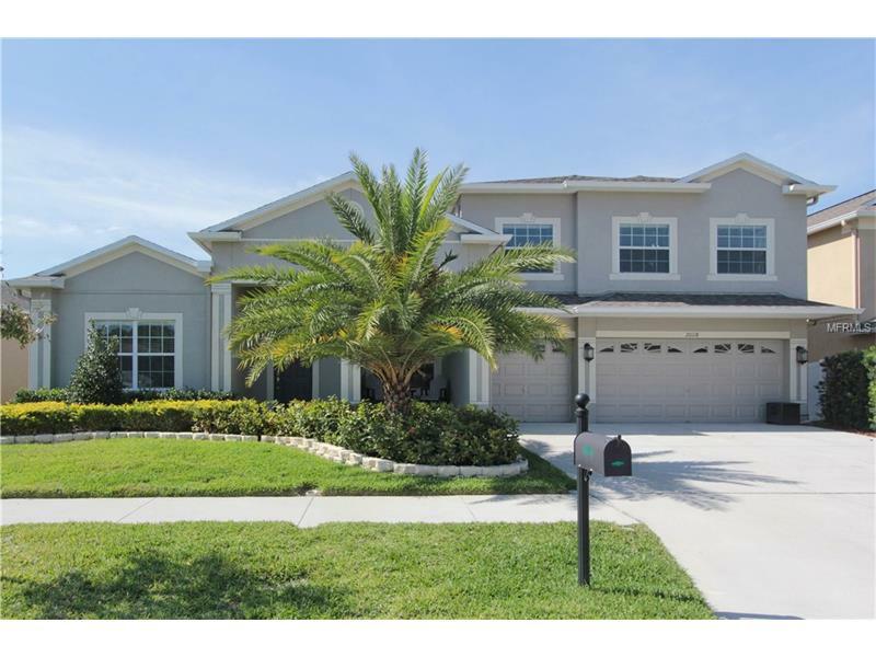Property Photo: 20118 Blue Daze Avenue FL 33647