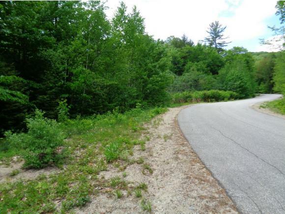 Property Photo:  0 Hundred Acre Wood Road  NH 03222 