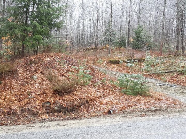 Property Photo:  Lot 1 Sugar Hill Road  NH 03229 